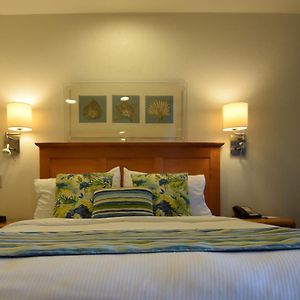 Suite mit 1 Schlafzimmer